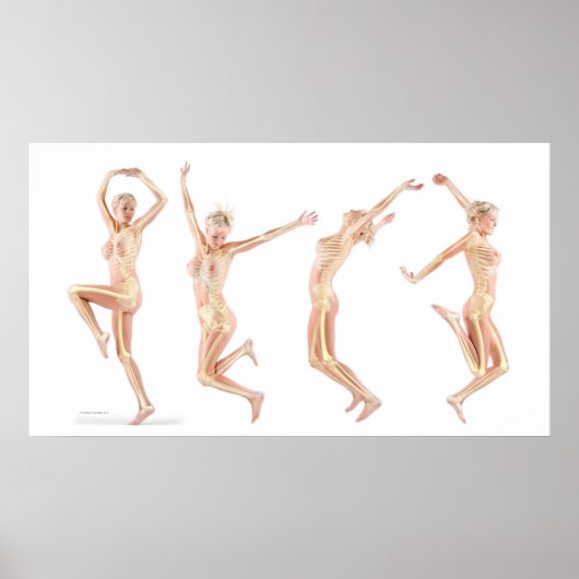 weibliche Anatomie Poster (Vorne)