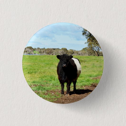 Weibliche Belted Galloway Kuh, Schlüsselanhänger Button (Vorderseite)