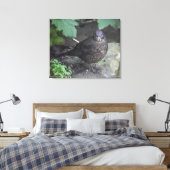 Weibliche Blackbird Leinwanddruck (Insitu (Schlafzimmer))