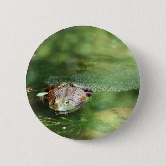 Weibliche Bullfrog Legeeier Button (Vorderseite)