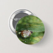 Weibliche Bullfrog Legeeier Button (Vorne & Hinten)