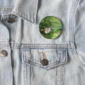 Weibliche Bullfrog Legeeier Button (Beispiel)