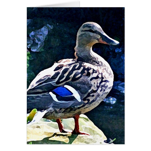 Weibliche Ente, die ein Auge auf Ihnen behält (Vorne)