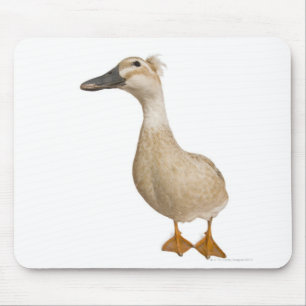 Weibliche Ente mit Haube, 3 Jahre alt Mousepad