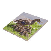 Weibliche Entenpalette mit ihren Enten auf Gras Fliese (Seite)