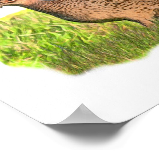 Weibliche Fasan im Gras Poster (Ecke)