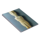 Weibliche Figürchen, frühes Cycladic, c.2800-2300 Notizblock (Rechte Seite)