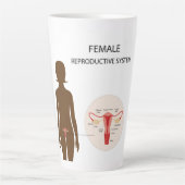 Weibliche Fortpflanzungsorgane Milchtasse (Vorderseite)