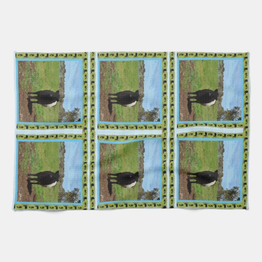 weibliche Galloway-Kuh, Geschirrtuch (Horizontal)