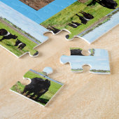 weibliche Galloway-Kuh, Puzzle (Seite)