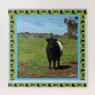 weibliche Galloway-Kuh, Puzzle