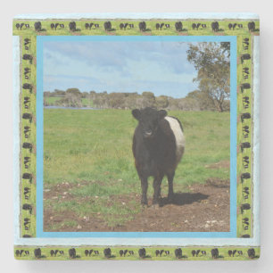 weibliche Galloway-Kuh, Steinuntersetzer