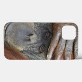 Weibliche Gefangene Sumatran Orangutan Case-Mate iPhone Hülle (Rückseite (Horizontal))