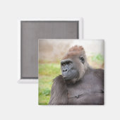 Weibliche Gorilla Magnet (Vorderseite/Rückseite)