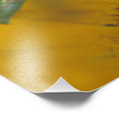 Weibliche Gottesanbeterin Fotodruck (Ecke)