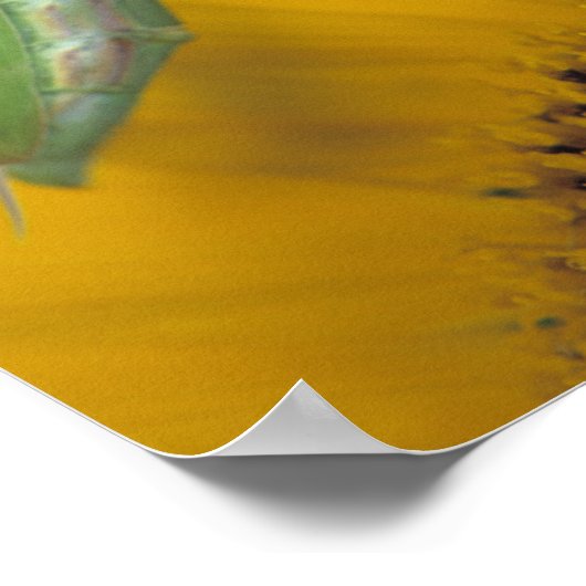 Weibliche Gottesanbeterin mit Eizelle auf Poster (Ecke)