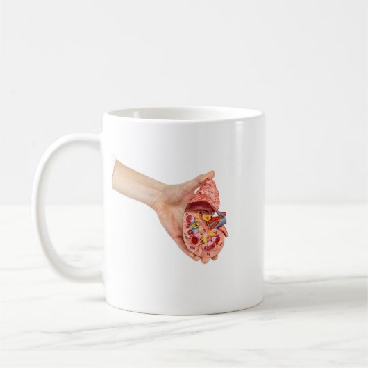Weibliche Hand hält Modell der menschlichen Niere Kaffeetasse (Links)