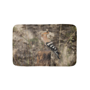 Weibliche Hoopoe auf Trunk Badematte