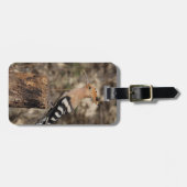 Weibliche Hoopoe auf Trunk Gepäckanhänger (Vorderseite horizontal)