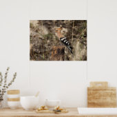 Weibliche Hoopoe auf Trunk Poster (Küche)