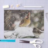 Weibliche Kardinal Vogelwelt Schnee Winter Seidenpapier (Handwerk)