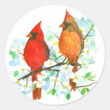 Weibliche Kardinäle Vögel Dogwood Tree