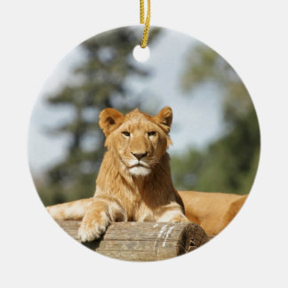 Weibliche Lion Keramikornament