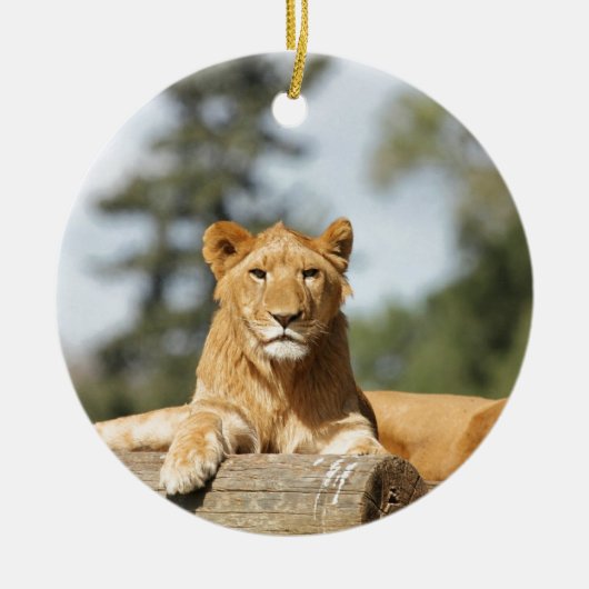 Weibliche Lion Keramikornament (Vorne)