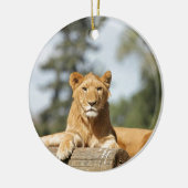 Weibliche Lion Keramikornament (Links)