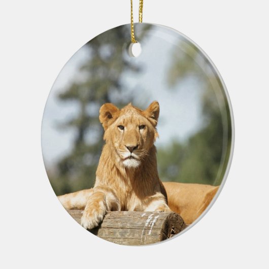 Weibliche Lion Keramikornament (Links)