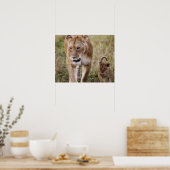 Weibliche Löwe mit Keule (Panthera Leo), wie in Poster (Küche)