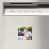 Weibliche Mallard Magnet (In Situ (Geschirrspüler))