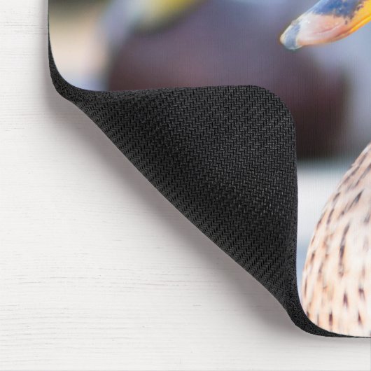 Weibliche Mallard Mousepad (Ecke)