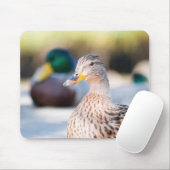 Weibliche Mallard Mousepad (Mit Mouse)