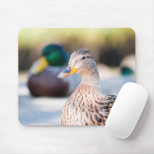 Weibliche Mallard Mousepad (Mit Mouse)