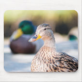 Weibliche Mallard Mousepad (Vorne)