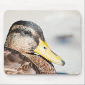 Weibliche Mallard Mousepad (Vorne)