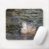 Weibliche Mallard Mousepad (Mit Mouse)