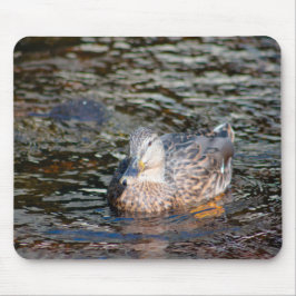 Weibliche Mallard Mousepad