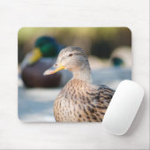 Weibliche Mallard Mousepad (Mit Mouse)