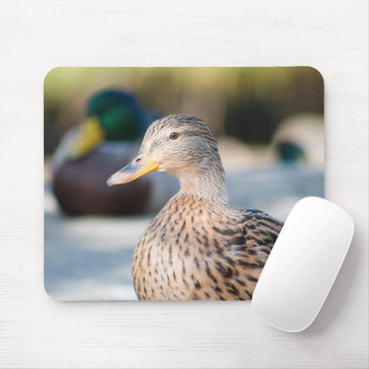 Weibliche Mallard Mousepad (Mit Mouse)