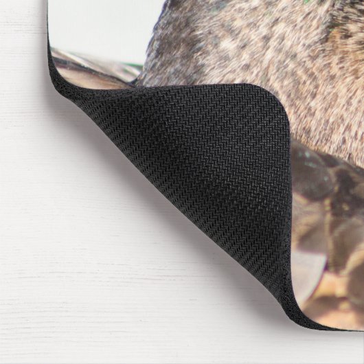 Weibliche Mallard Mousepad (Ecke)