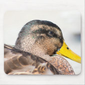 Weibliche Mallard Mousepad (Vorne)