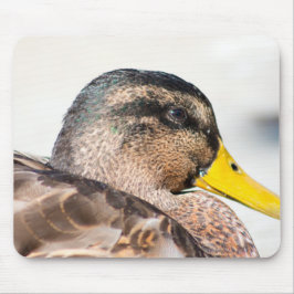 Weibliche Mallard Mousepad