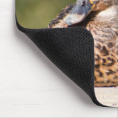 Weibliche Mallard Mousepad (Ecke)