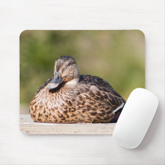Weibliche Mallard Mousepad (Mit Mouse)