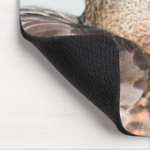 Weibliche Mallard Mousepad (Ecke)