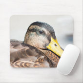 Weibliche Mallard Mousepad (Mit Mouse)