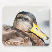 Weibliche Mallard Mousepad (Vorne)