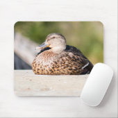 Weibliche Mallard Mousepad (Mit Mouse)